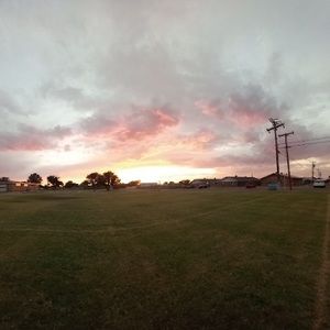 Meet your Posher, Audrey